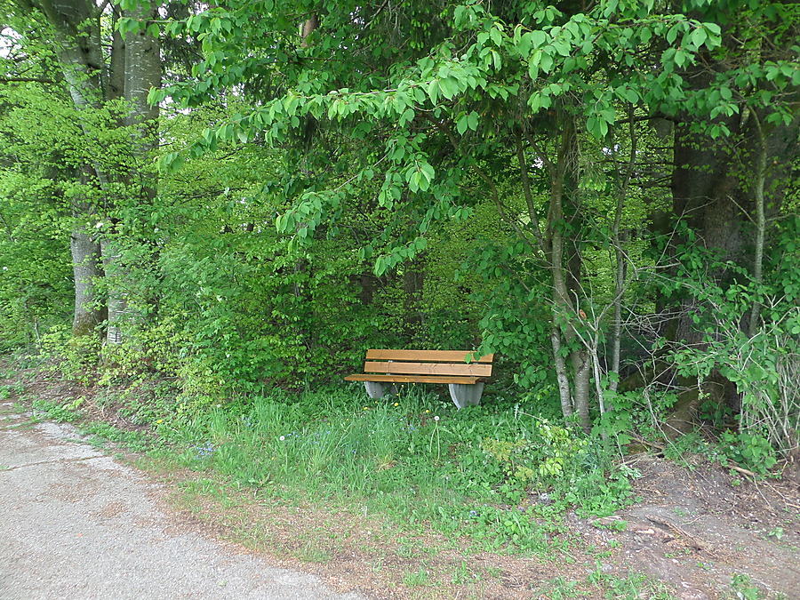 Bankerlblick - Bankerl bei Forst